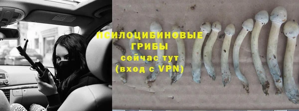 стаф Балахна