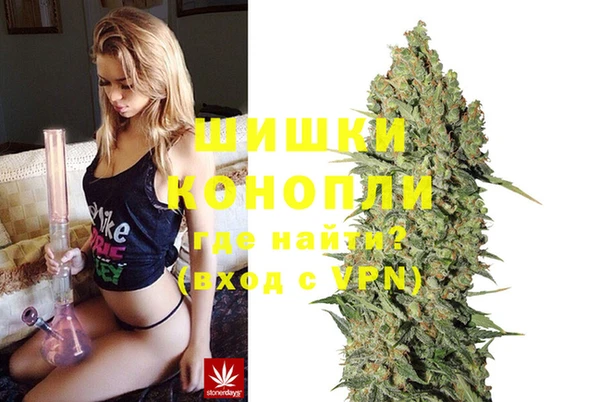 стаф Балахна