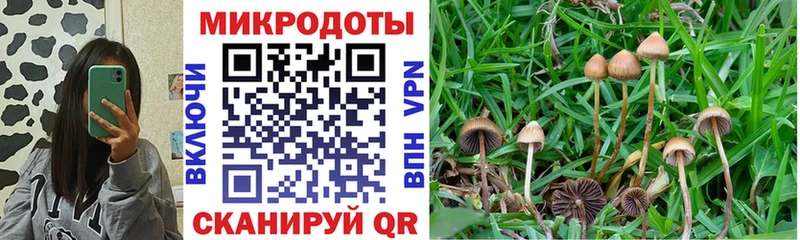 Псилоцибиновые грибы Magic Shrooms  Мышкин 